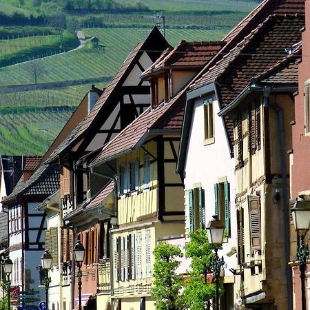 Appartamento La Sorciere In A Typical Alsatian House Rouffach Esterno foto