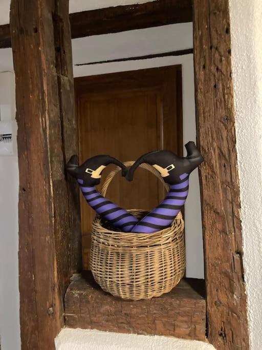 Appartamento La Sorciere In A Typical Alsatian House Rouffach Esterno foto